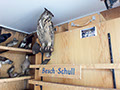 Oder auch Besch-Schull genannt., Bild: EL