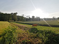 Warmes Plätzchen im Nimstal, Feldweg Richtung Steinebrück, gestiftet von Zweirad Hoffmann Bitburg., Bild: EL