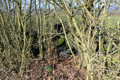 Aktion Saubere Landschaft 2025, Bild: JR