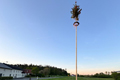 Auch auf dem Bildchen steht dieses Jahr wieder ein Maibaum, Bild: MP