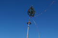 Aufstellen des Baumes durch unsere Feuerwehr., Bild: SP