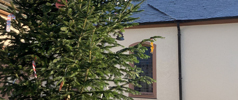 Wunderschöner Weihnachtsbaum