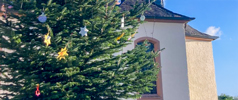 Weihnachtsbaum