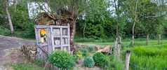 Renovierung des Hexenhauses