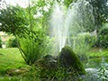 Wasserspiel im satten Grün
24.07.2015